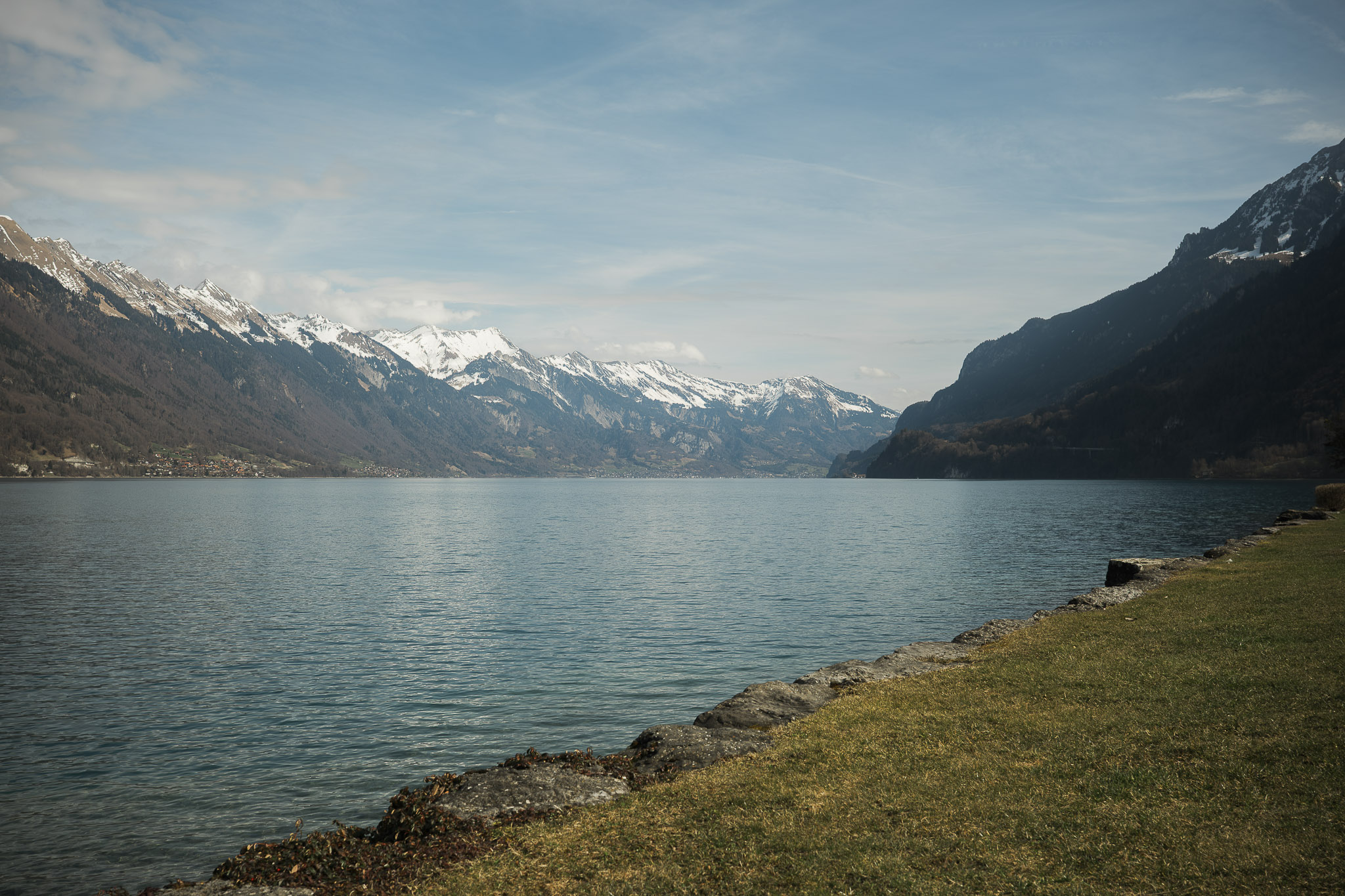 Shore of Lake Brienz with Alpine panorama and grassy edge near Bönigen-Iseltwald in the Bernese Oberland