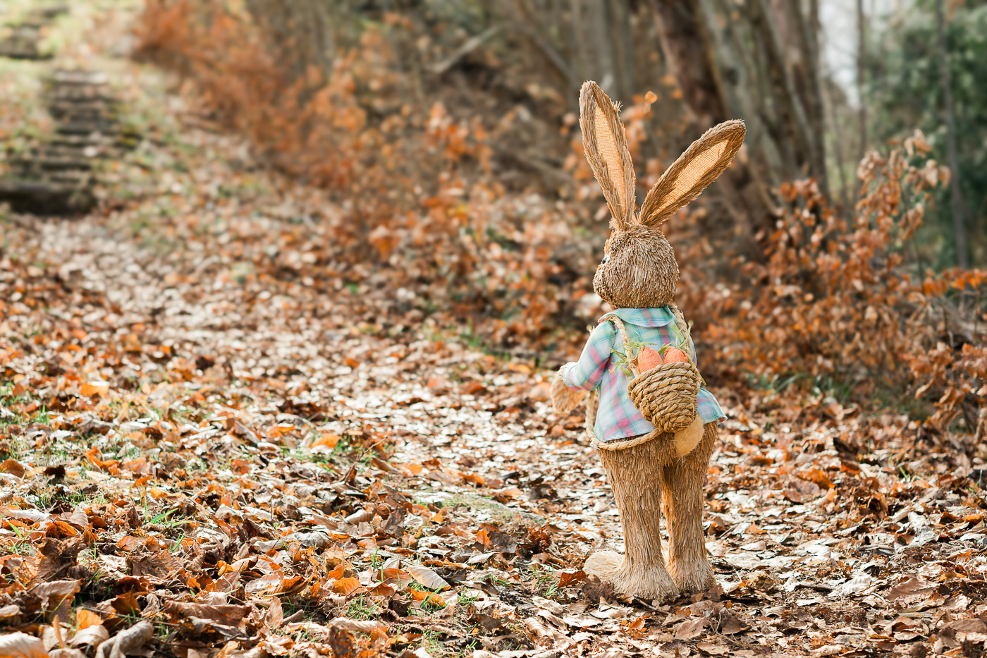 Osterhase auf einem Wanderweg in Iseltwald