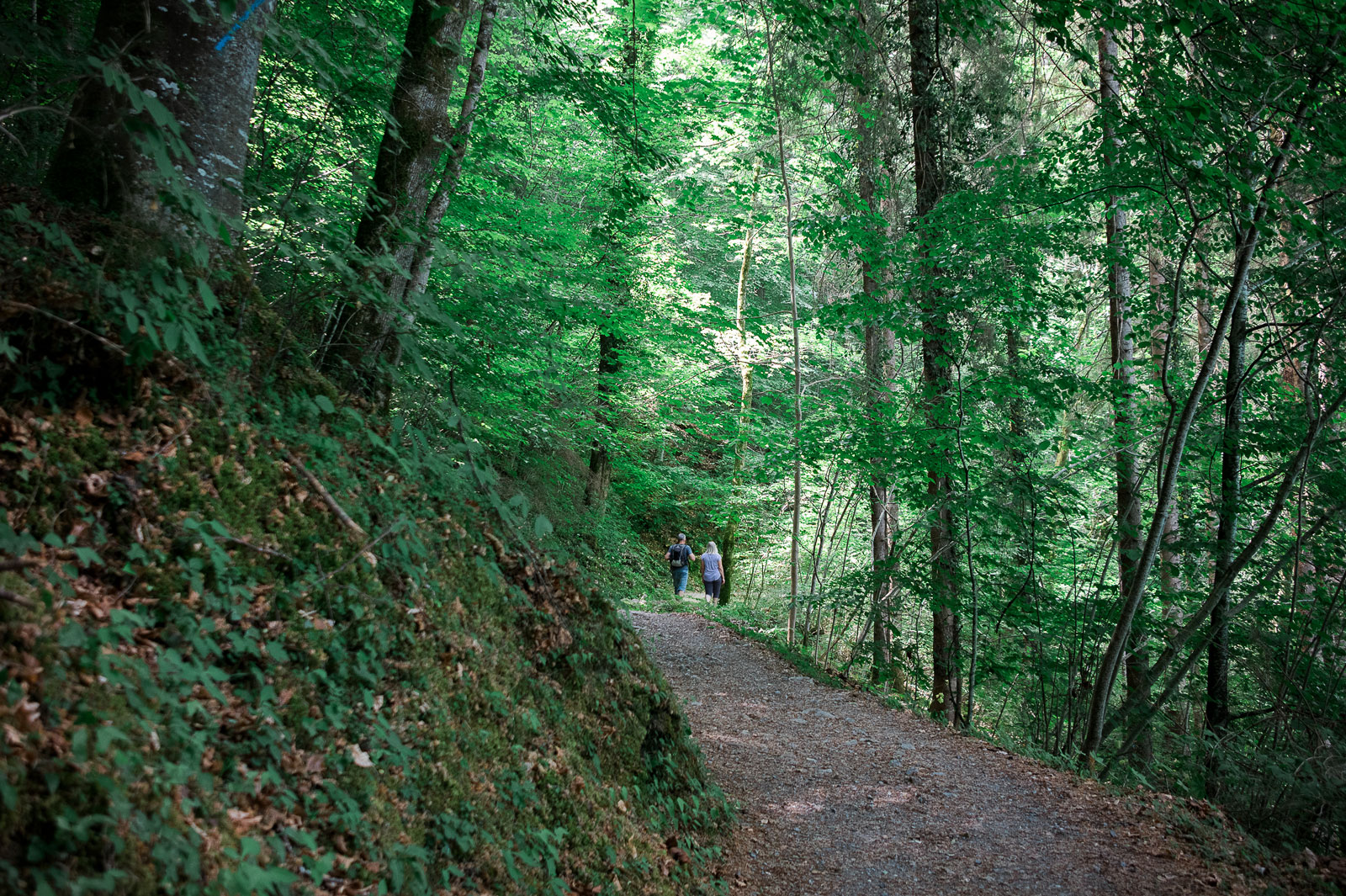 Man and woman hiking towards Iseltwald on the shores of Lake Brienz.