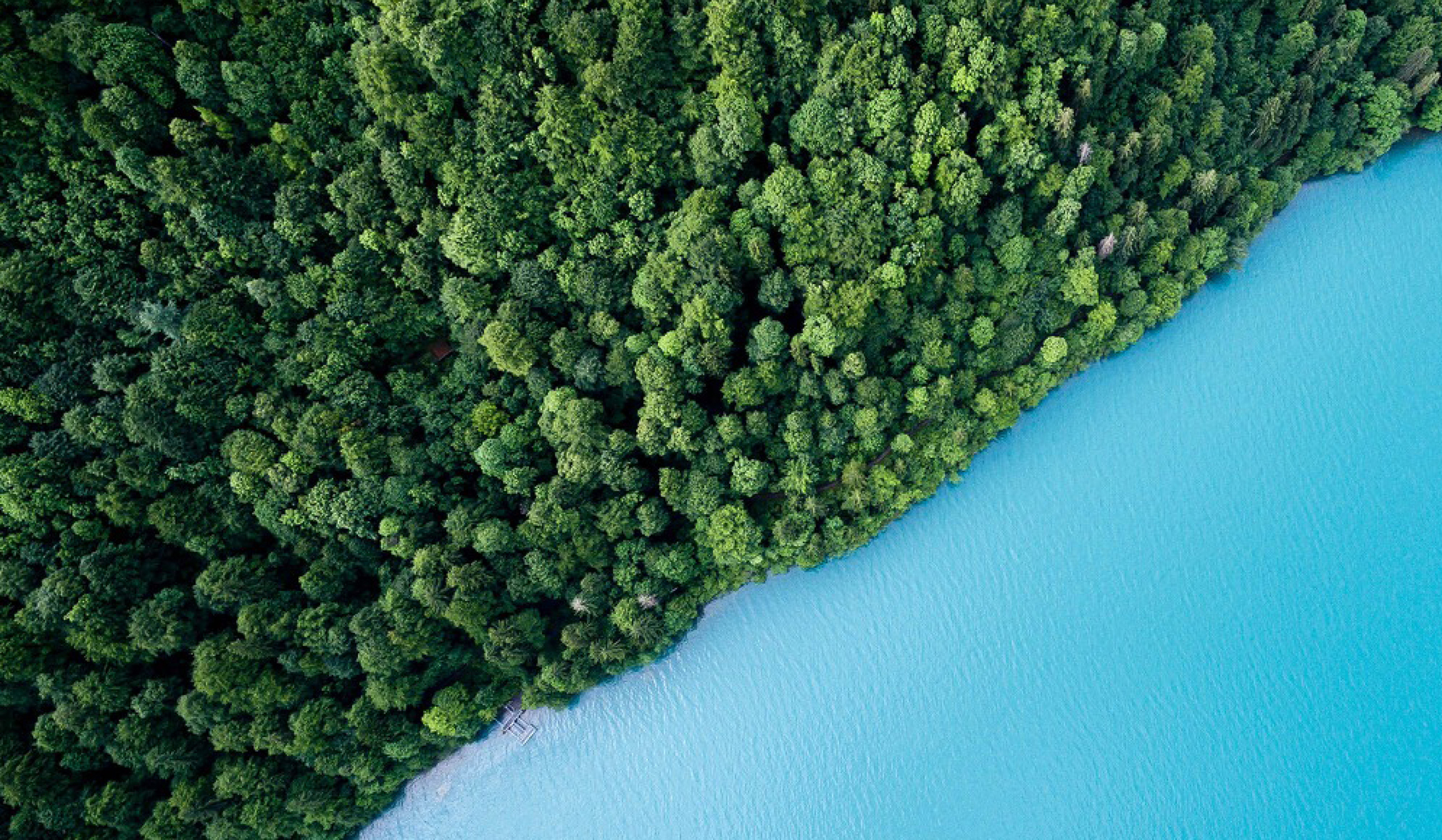 Bönigen-Iseltwald Tourismus